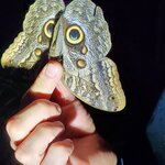 Photo taken by Tenley G