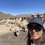 Photo taken by Alpa M