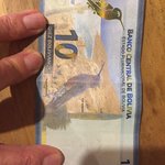 Hummingbird | Photo taken by Darina B