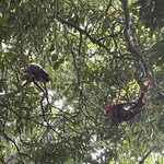 Photo taken by Margaret S