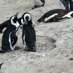 Photo taken by Paul B