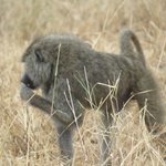 Photo taken by Kristin M