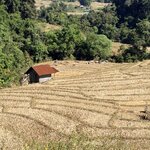 Photo taken by Megan H