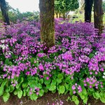 Photo taken by Aaron H