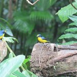 Photo taken by Pat K