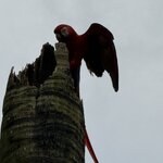 Photo taken by Steven C