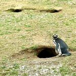 Photo taken by Alex G