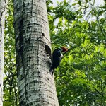 Photo taken by Cathy V