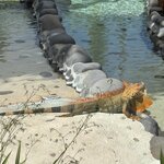 Photo taken by SANTHI S