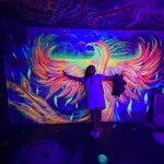 Photo taken by Bincy P