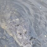 Photo taken by Alexandre M