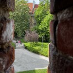 Photo taken by Sylvia S