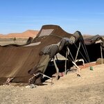 Photo taken by N.J. P