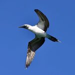 Photo taken by Sofia W