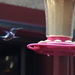 Photo taken by Mary D