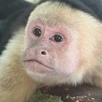 Photo taken by Bonnie Y