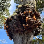 Photo taken by Yelena L