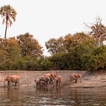 Photo taken by Tom B