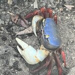 Photo taken by Bonnie Y