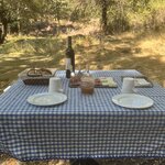 Photo taken by Lisa G