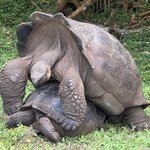 Photo taken by Lisa P