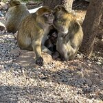 Photo taken by Gaia B