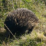 Photo taken by Jennifer H