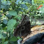 Photo taken by Alexia M