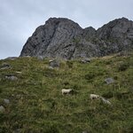 Photo taken by anne b