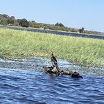 Photo taken by rhonda c