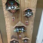 Photo taken by Deirdre H