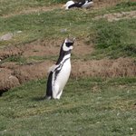 Photo taken by Mariellen S