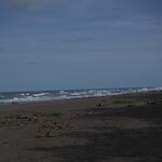 Photo taken by Joyce C