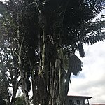 Photo taken by Gloria B