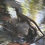 Photo taken by Bonnie Y