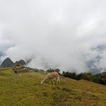 Photo taken by Ciarra N