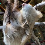 Photo taken by Charles H