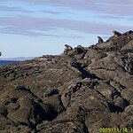 Photo taken by Richard P