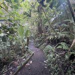 Photo taken by Matt P