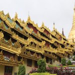 Stunning | Photo taken by Pip S