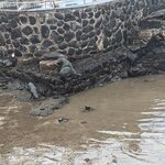 Photo taken by mimi s