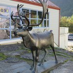 Photo taken by Mary K