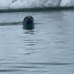 Photo taken by Nan K