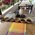 Photo taken by Tricia E