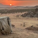 Photo taken by Nigel R