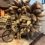 Photo taken by Linda O