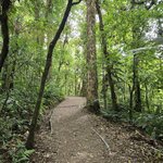 Photo taken by Ceinwen P