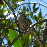 Photo taken by Mary D