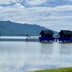 Photo taken by Jacqui O