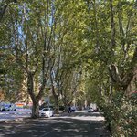 Photo taken by Susan M